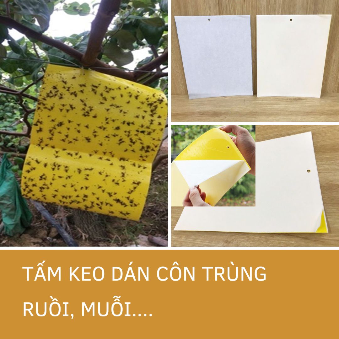 Tấm keo dán côn trùng ruồi muỗi