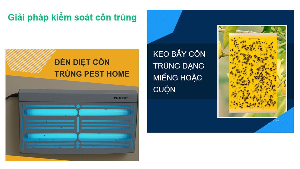 Giải pháp kiểm soát côn trùng