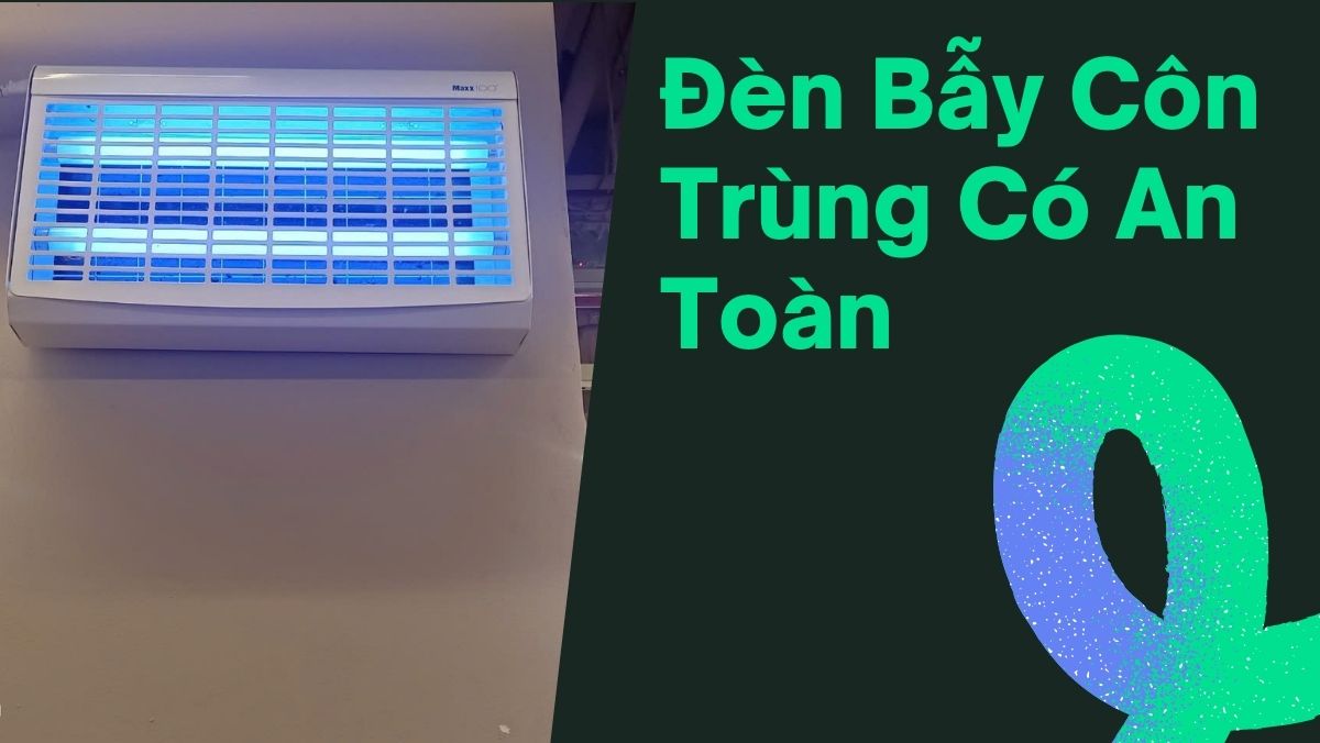 Đèn Bẫy Côn Trùng Có An Toàn không