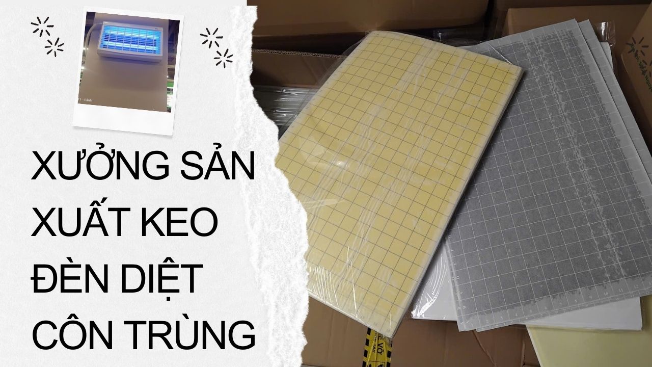 Xưởng sản xuất tấm keo đèn diệt côn trùng