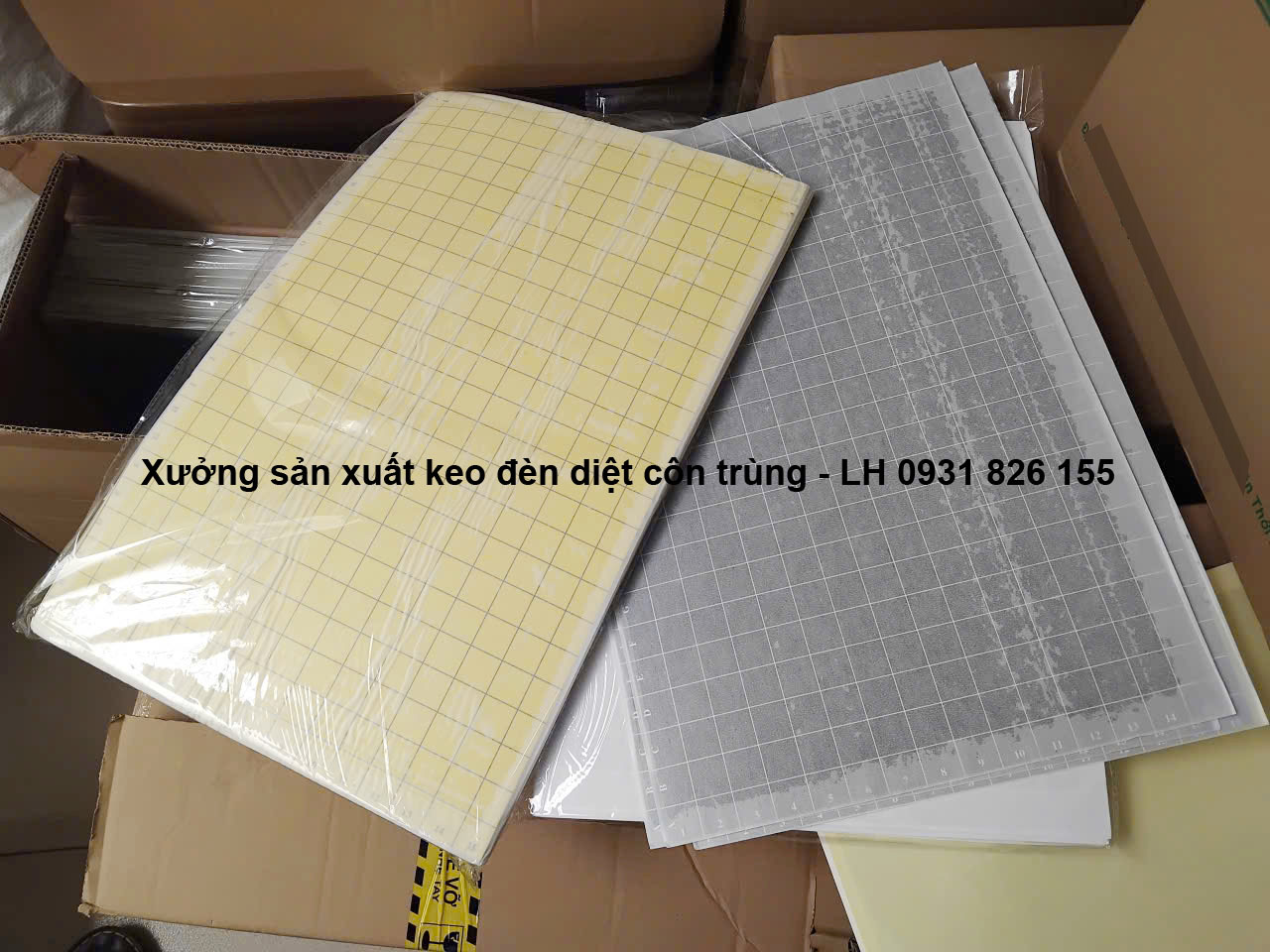 Xưởng sản xuất tấm keo đèn bẫy côn trùng